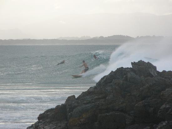 Two Weeks on the East Coast of Oz